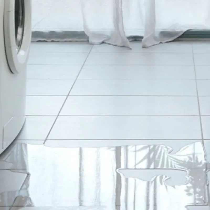 Appliance Leak Cleanup in Buckhorn, CA
