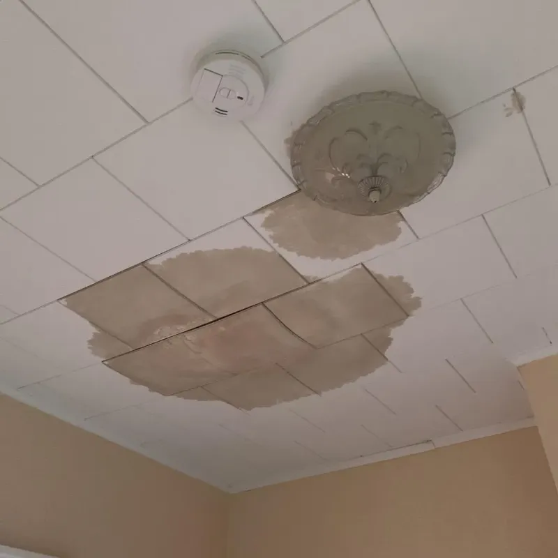 Ceiling Water Damage Repair in Buckhorn, CA