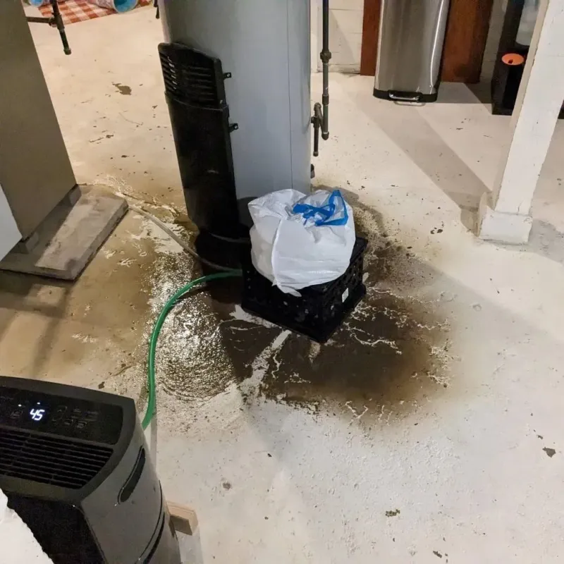 Sewage Backup Cleanup Service in Buckhorn, CA